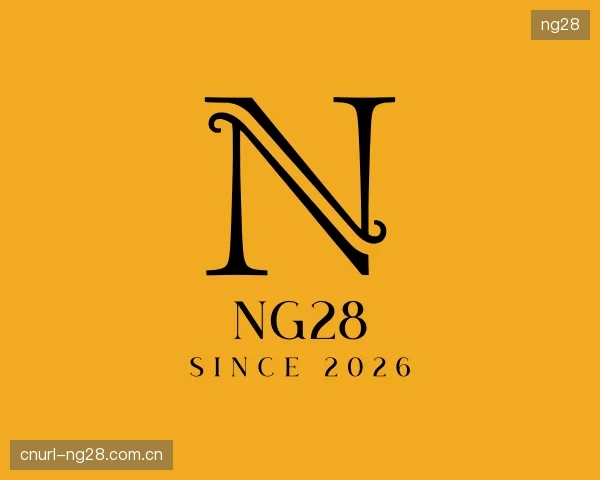 关于ng28公司